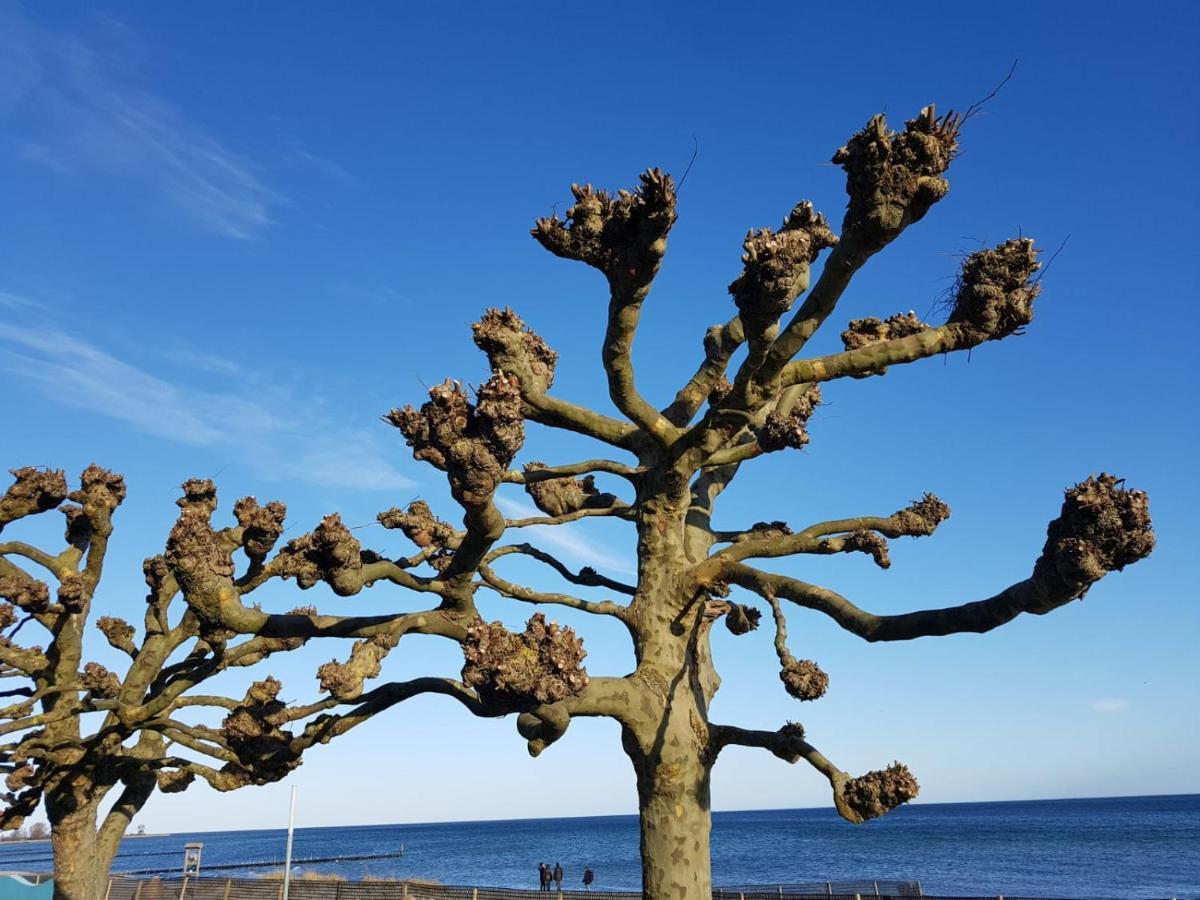 Ferienwohnung "Luv" Grube Ostsee Экстерьер фото