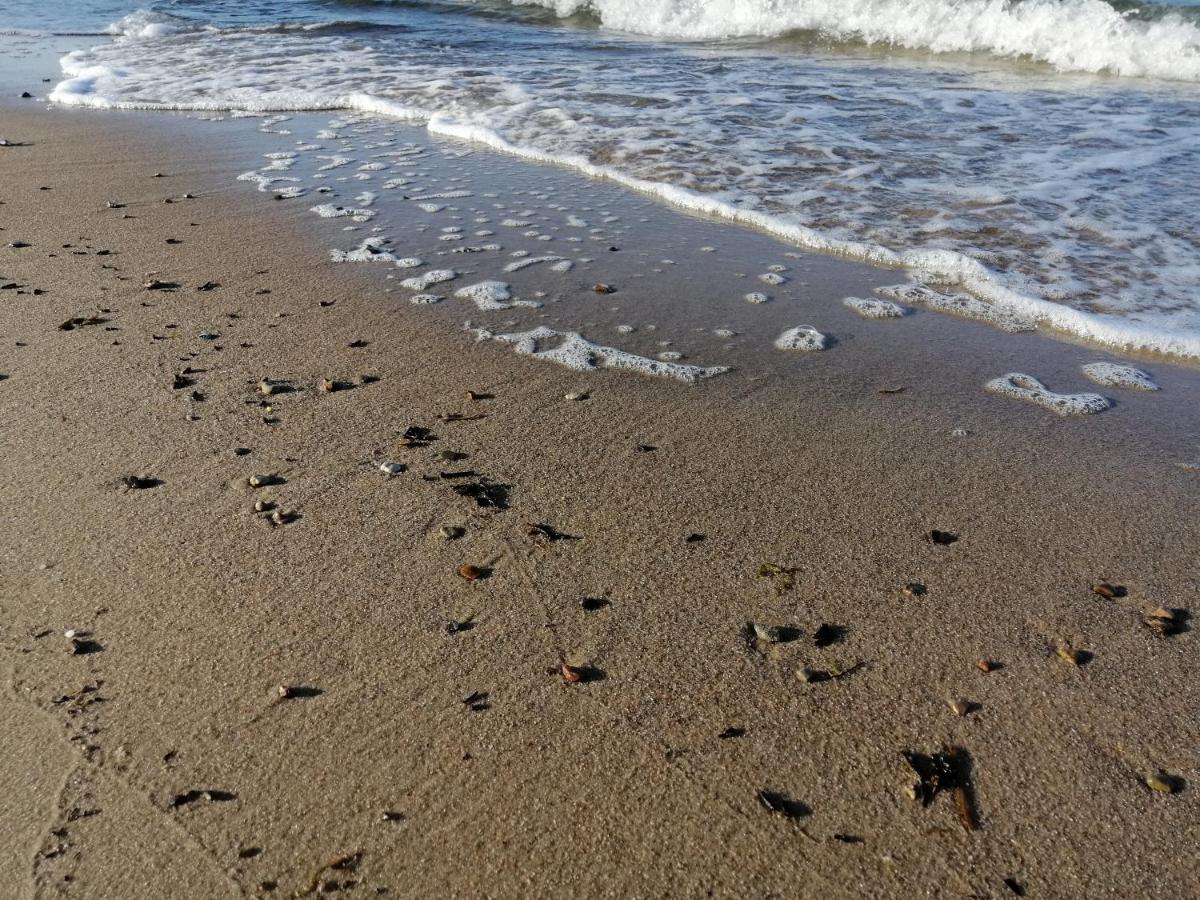 Ferienwohnung "Luv" Grube Ostsee Экстерьер фото